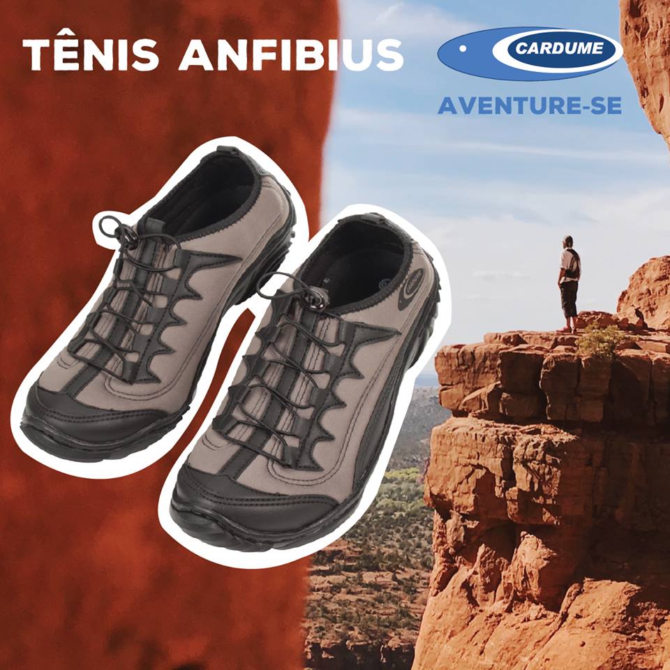 tenis anfibius cardume